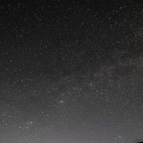 Photo #6413420