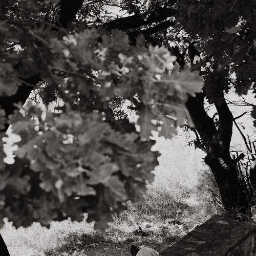 Photo #6413478