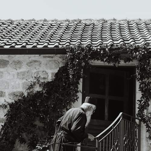 Photo #6413479