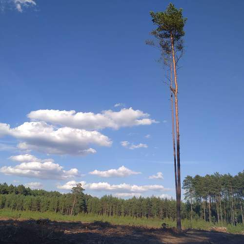Photo #6413590