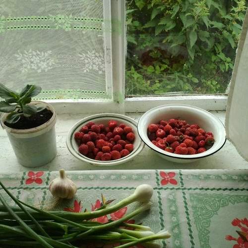 Photo #6413774