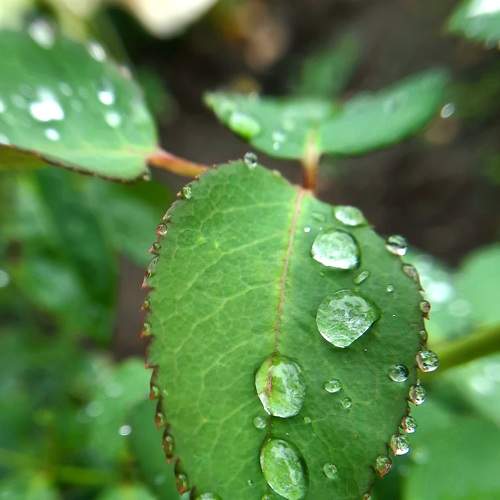 Photo #6413834