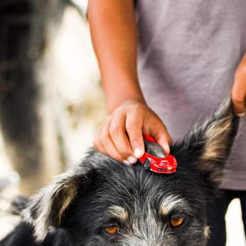 Photo #6414366