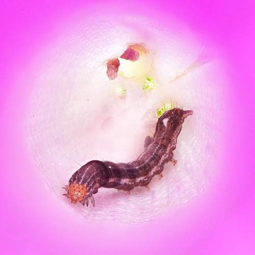 Photo #6414385
