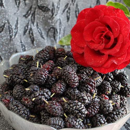 Photo #6414600