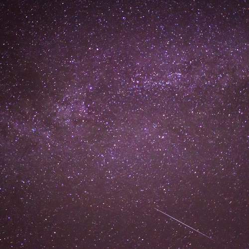 Photo #6414804
