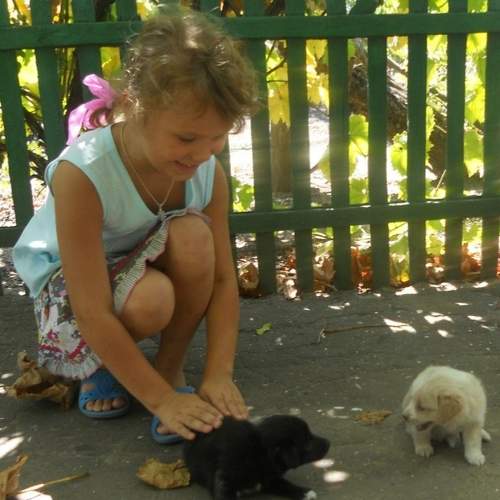 Photo #6414976