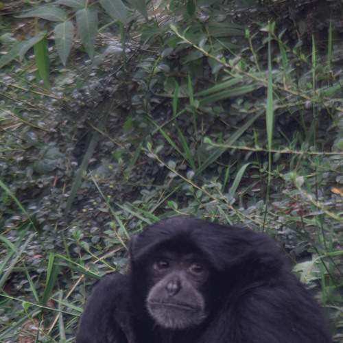 Photo #6415257