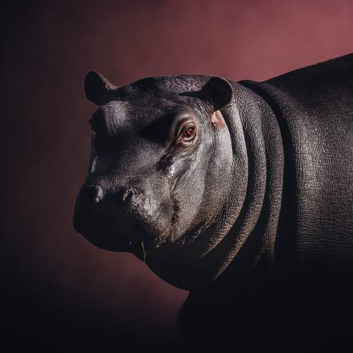 Photo #6415536