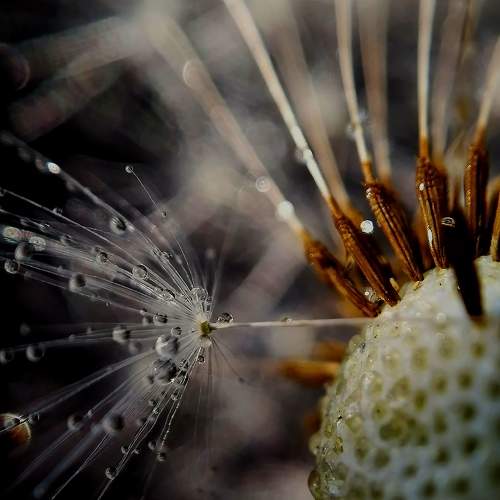 Photo #6415670