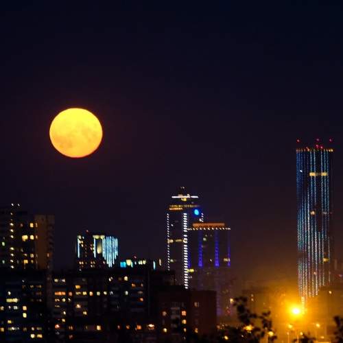 Photo #6415892