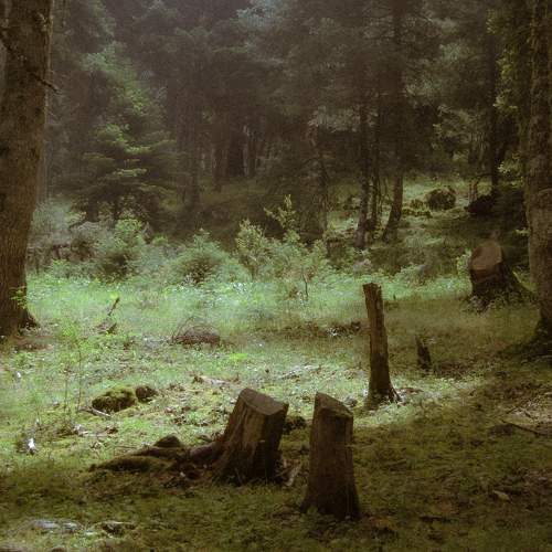 Photo #6415896