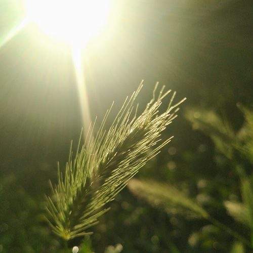 Photo #6416058