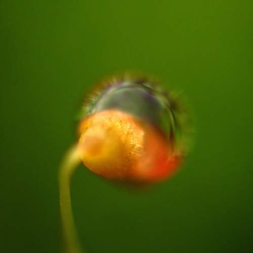 Photo #6416241