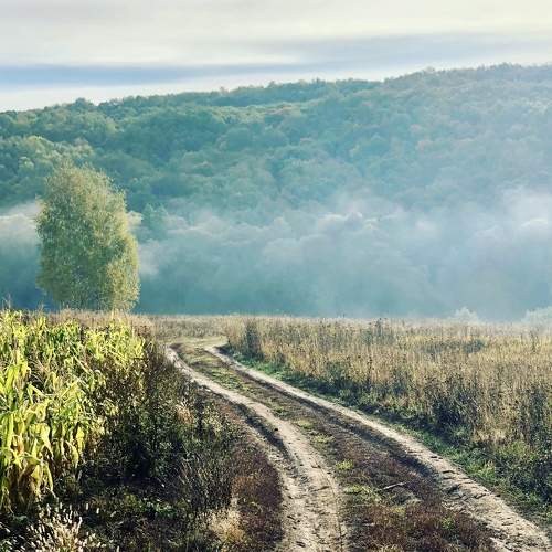 Photo #6417155