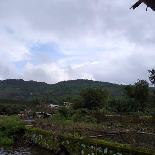 Photo #6417174