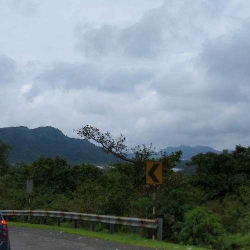 Photo #6417181