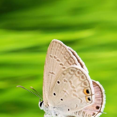 Photo #6417189
