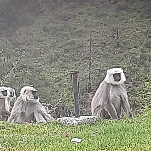 Photo #6417191