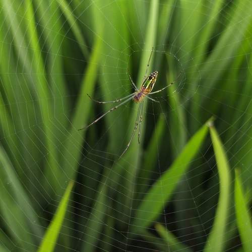 Photo #6417385