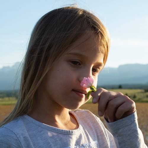Photo #6417870