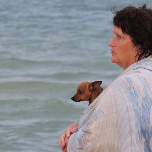 Photo #6418759