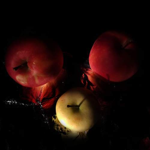 Photo #6419017