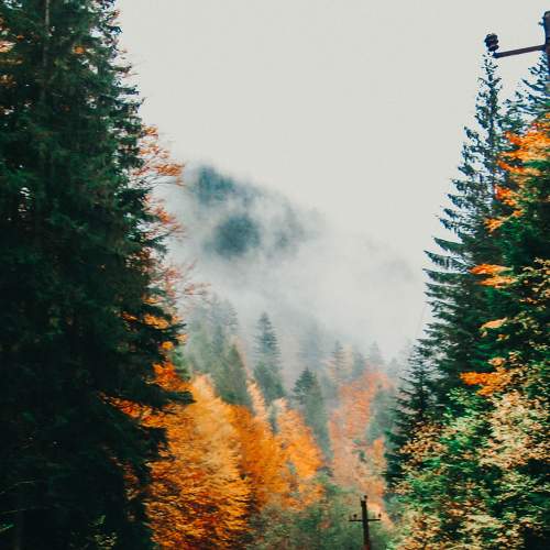 Photo #6420565