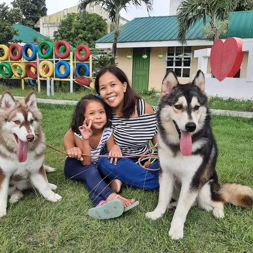 Photo #6420978