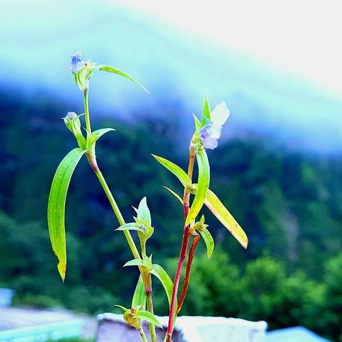Photo #6421318