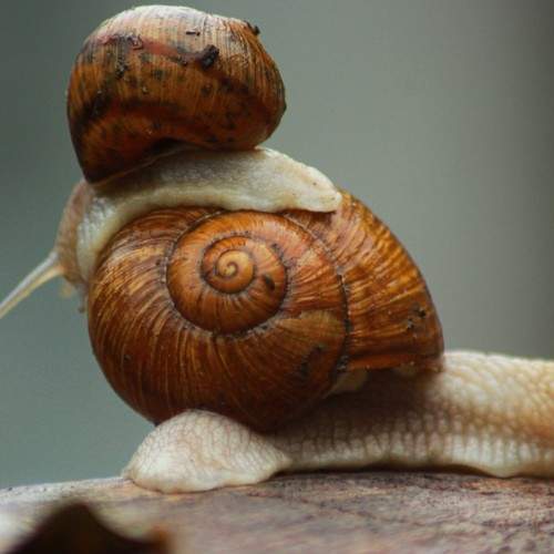 Photo #6421664