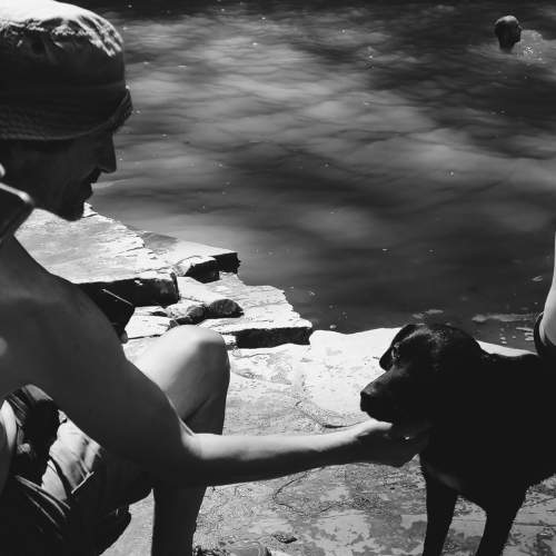 Photo #6421749