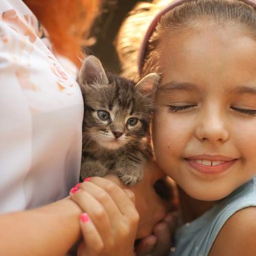 Photo #6421869