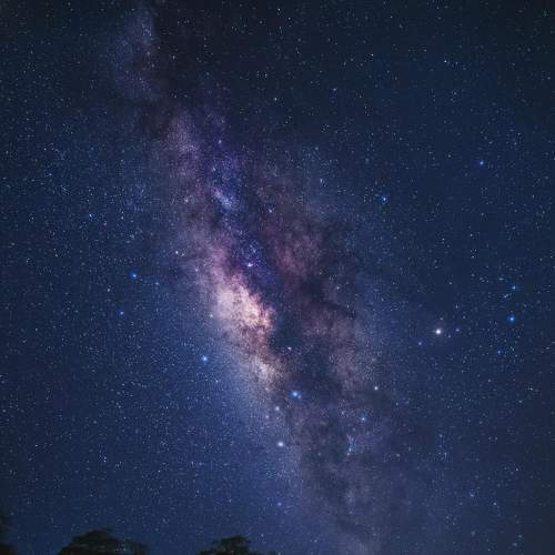 Photo #6422133