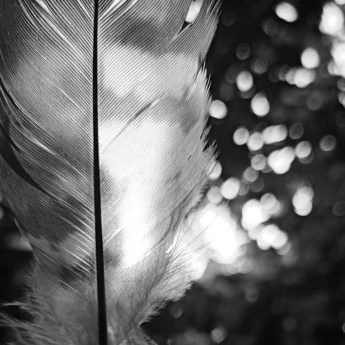 Bokeh flare