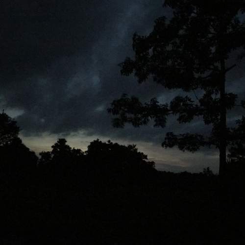 Dark love