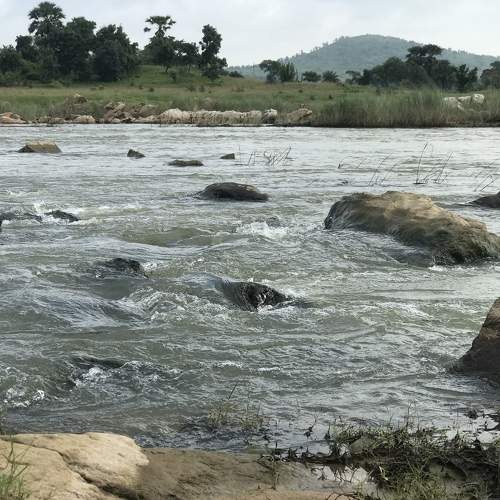 Flow of life