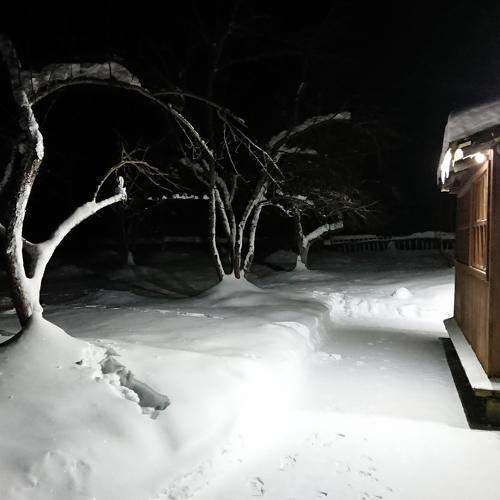 Photo #6423066