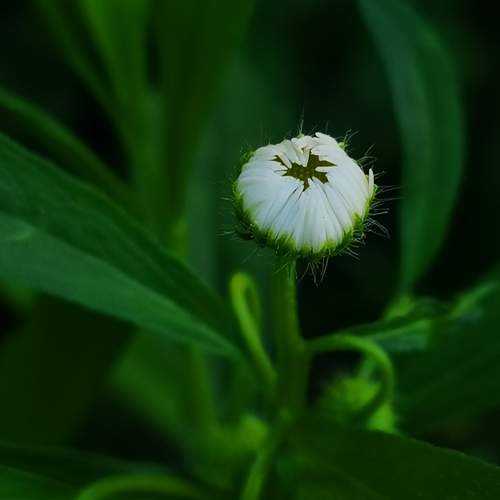Photo #6423207