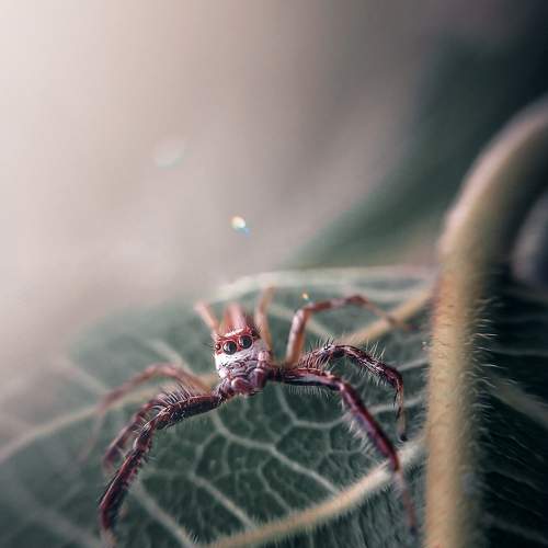 Photo #6423353
