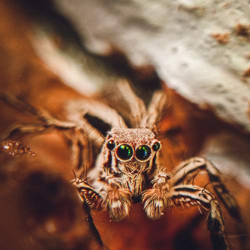 Photo #6423361