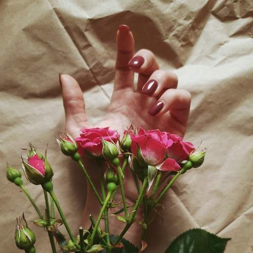 Photo #6423377