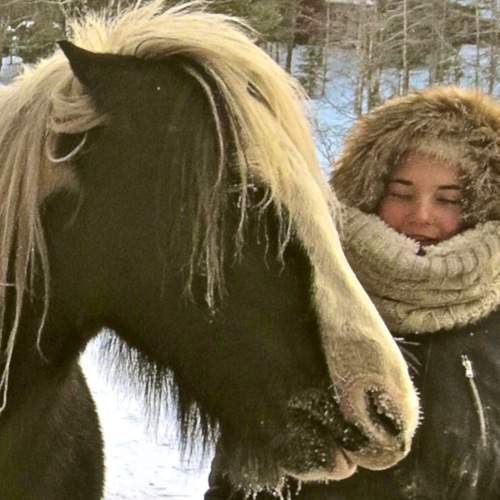 Photo #6424211