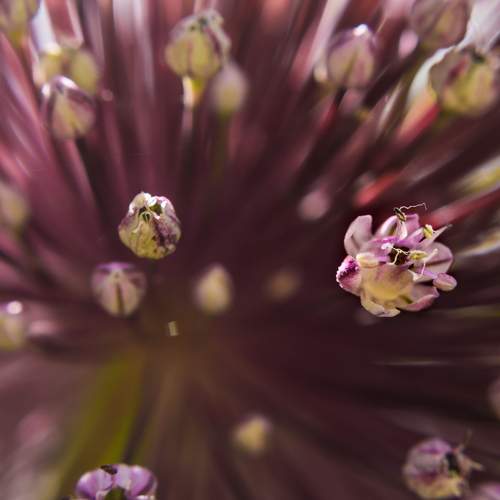 Photo #6424348