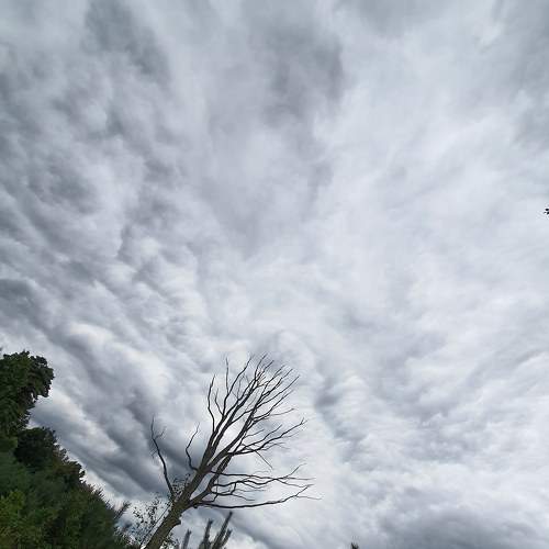 Photo #6424349