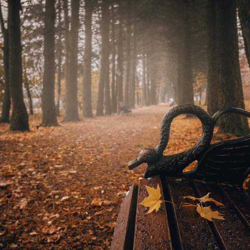 Photo #6424444