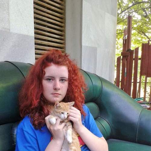 Photo #6424465