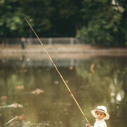 Photo #6424860