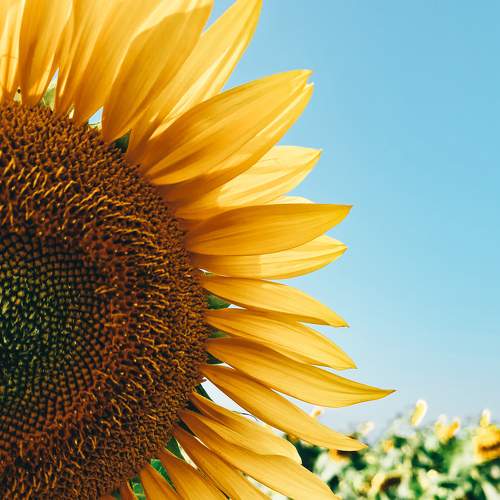 Photo #6425175