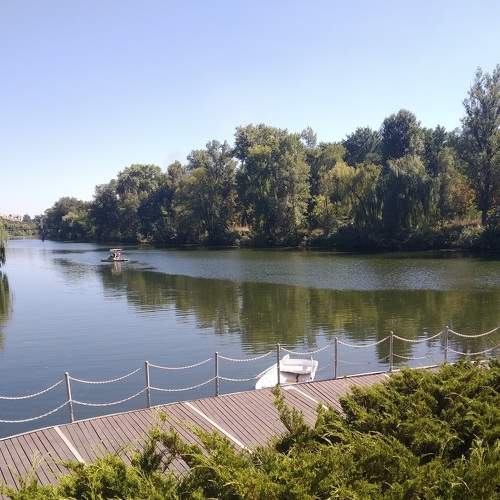 Photo #6425549